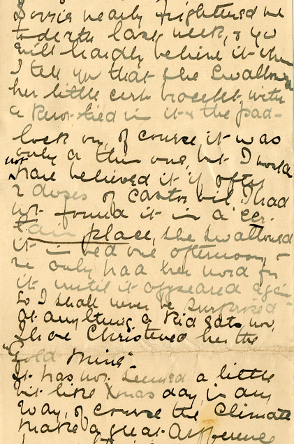 Letter from Ethel Swaffield in India 1902